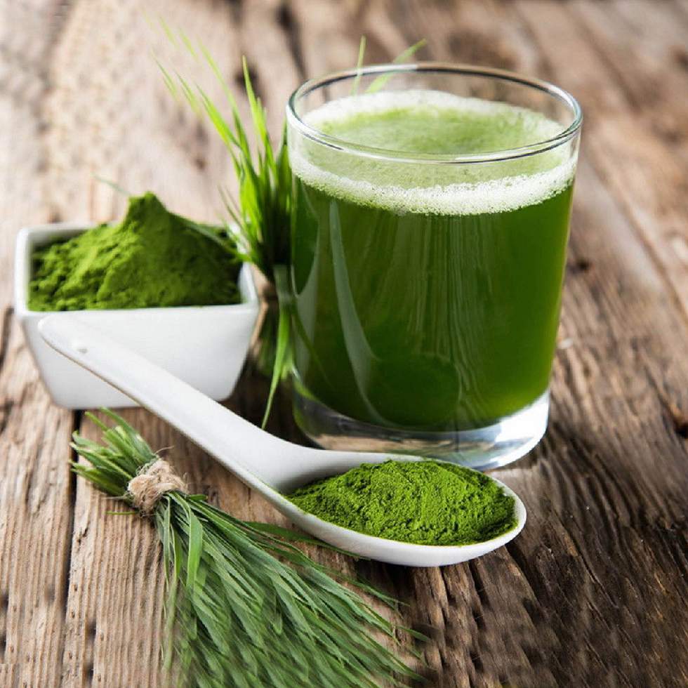 SPIRULINA