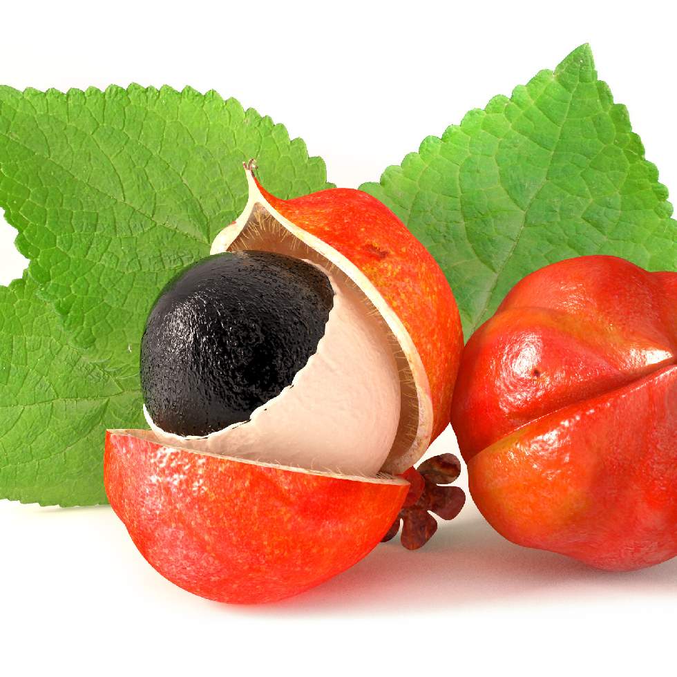 GUARANÁ