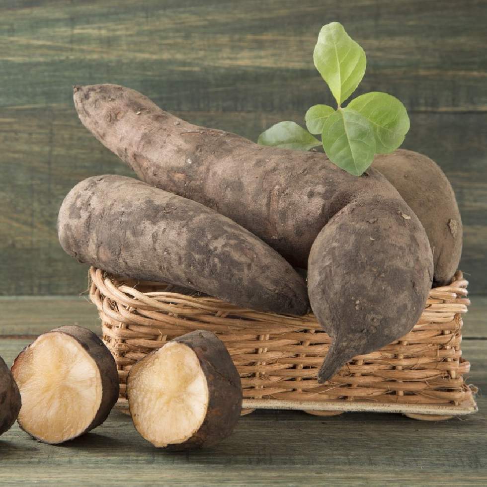 YACÓN