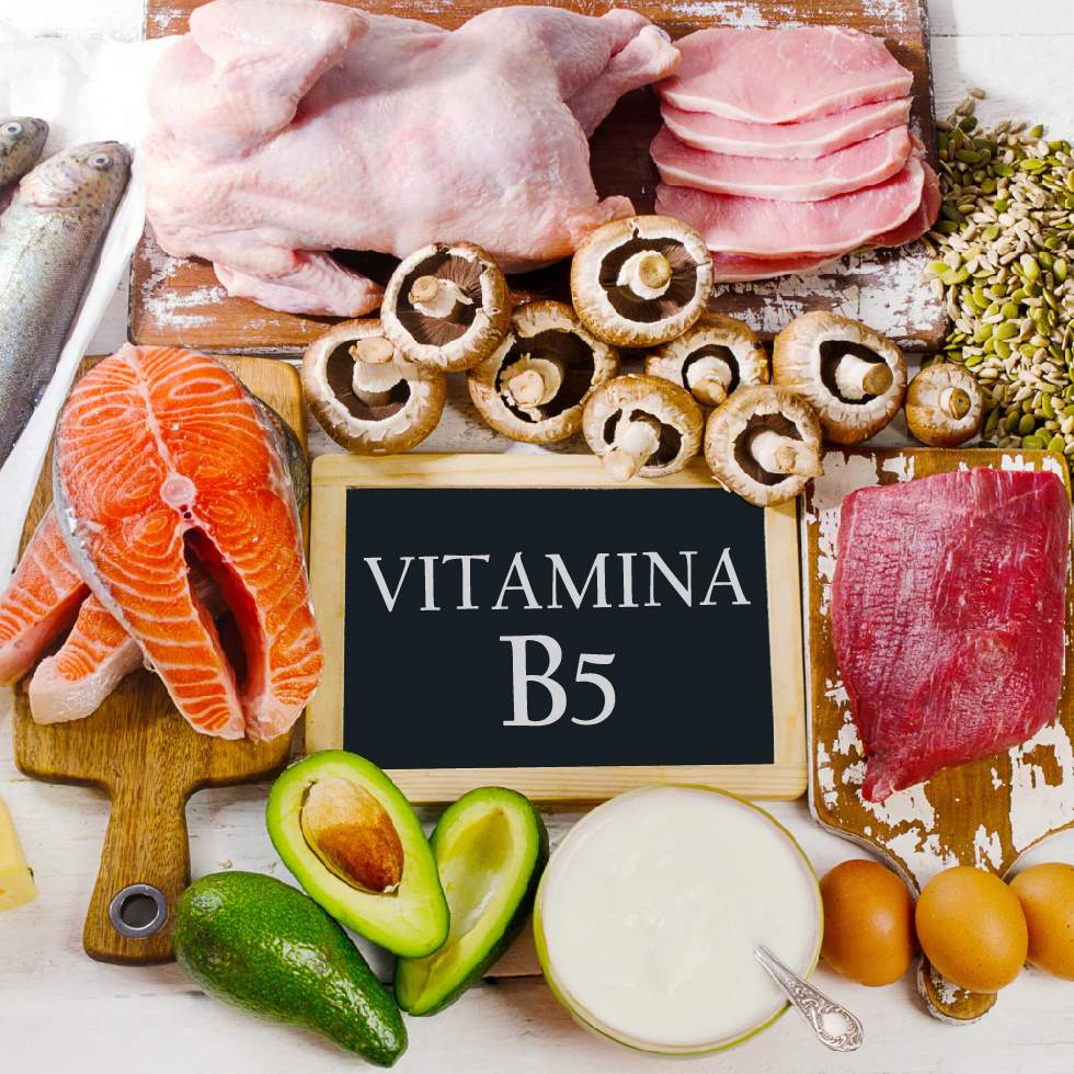 VITAMINA B5